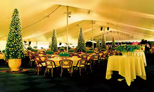 backyard colorful party tents
