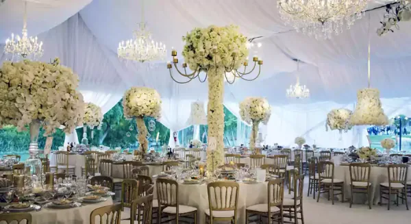 backyard party tent