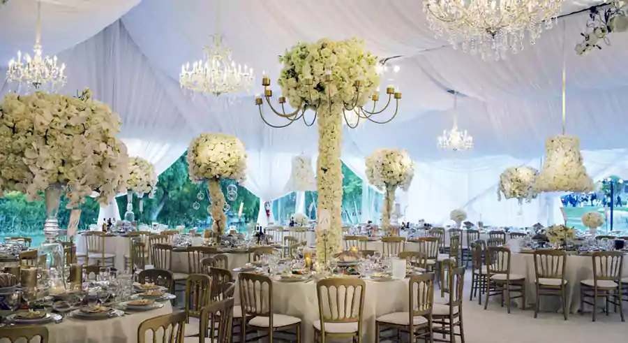 backyard party tent