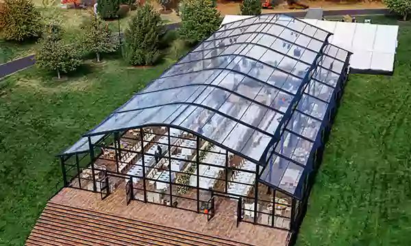 Clear Roof Structure Tent